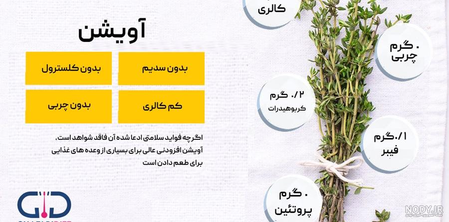 آویشن | رویش نهال | فروش نهال در کرج