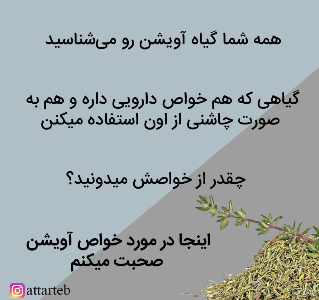 آویشن | مجله سلامت | داروخانه آنلاین نسخه اول
