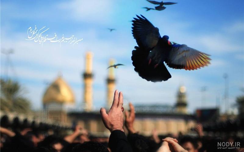 به تو از دور سلام/ با یک کلیک زائر مجازی حرم اباعبداللّه (ع) شوید + لینک