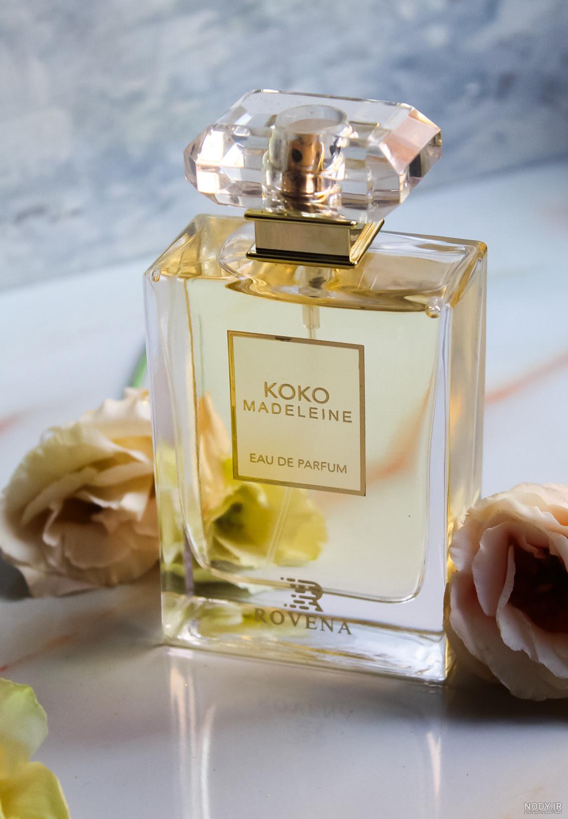 تشخیص عطر شنل کوکو مادمازل اصل و تقلبی - فروشگاه اینترنتی موج لند تشخیص عطر شنل کوکو مادمازل اصل و تقلبی - فروشگاه اینترنتی موج لند