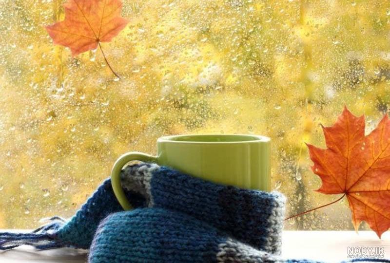 تو پاییزی که گذشت... تو پاییزی که گذشت...