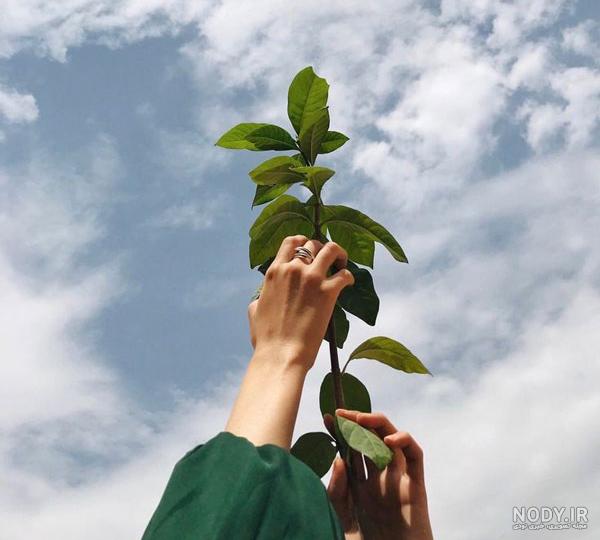 عکس آسمان شب برای پروفایل