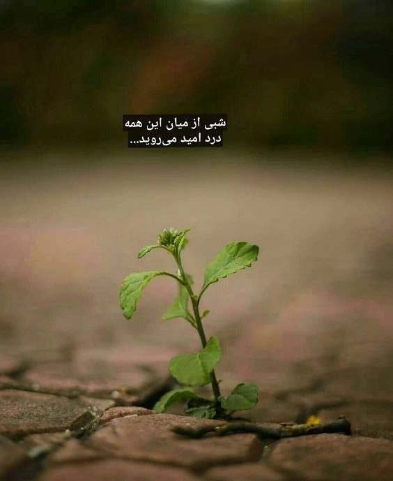 عکس انگیزشی بدون متن عکس انگیزشی بدون متن