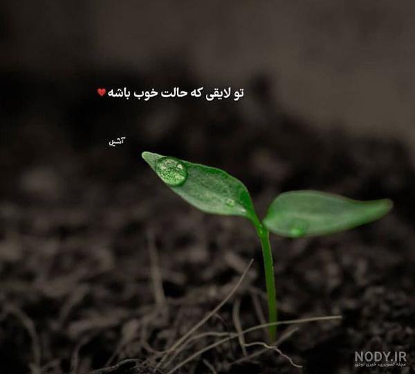 عکس بدون متن انگیزشی - عکس نودی عکس بدون متن انگیزشی - عکس نودی