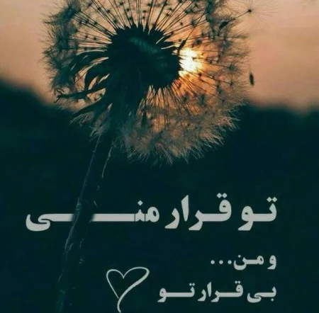 عکس روز آشنایی - عکس نودی عکس روز آشنایی - عکس نودی