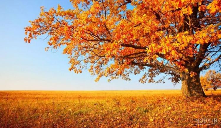 عکس پروفایل پاییزی؛ عکس نوشته پاییزی زیبای عاشقانه و احساسی، متن نوشته پاییزی عکس پروفایل پاییزی؛ عکس نوشته پاییزی زیبای عاشقانه و احساسی، متن نوشته پاییزی