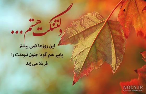 عکسنوشته های تموم شدن پاییز عکسنوشته های تموم شدن پاییز