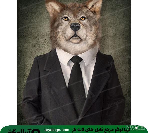 ۱۳ نژاد سگ گرگی