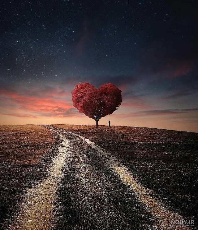 عکس خفن عکس جاده در شب