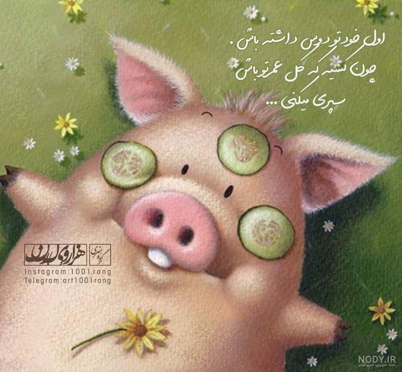 آلبوم عکس پروفایل عروسکی بامزه بدون متن - تــــــــوپ تـــــــــاپ آلبوم عکس پروفایل عروسکی بامزه بدون متن - تــــــــوپ تـــــــــاپ