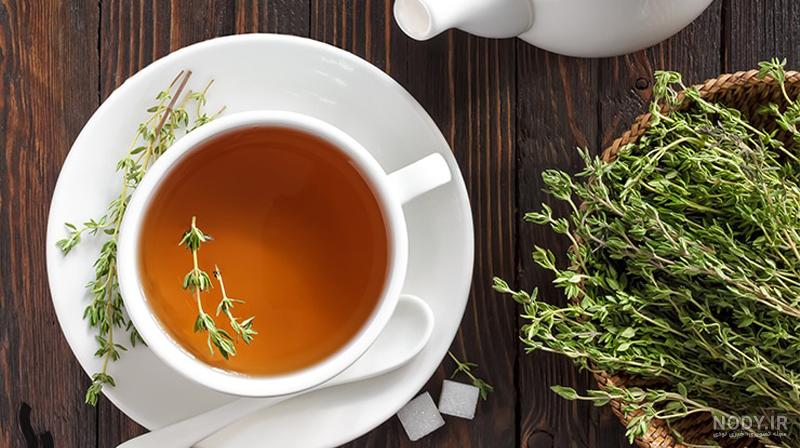 آویشن و خواص دارویی و درمانی آن - ایرنا آویشن و خواص دارویی و درمانی آن - ایرنا