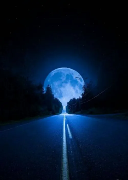 عکس جاده شب
