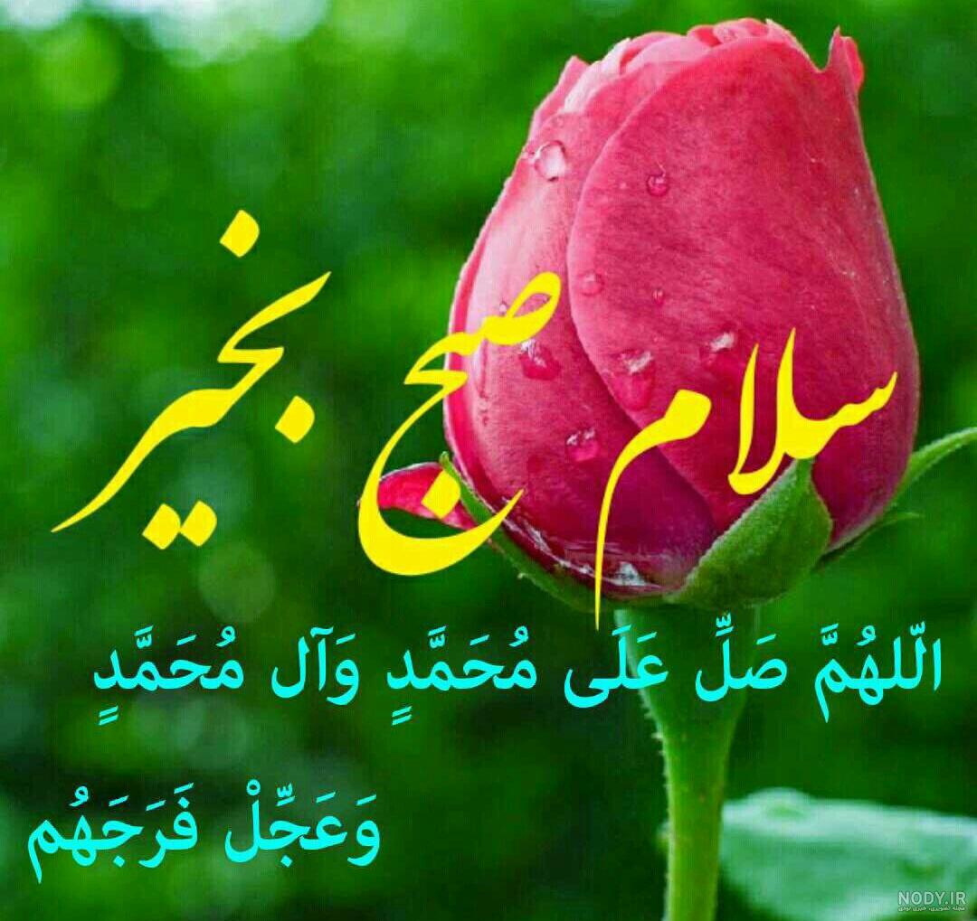 عکس صبح بخیر عربی :: گالری نسیم عکس صبح بخیر عربی :: گالری نسیم