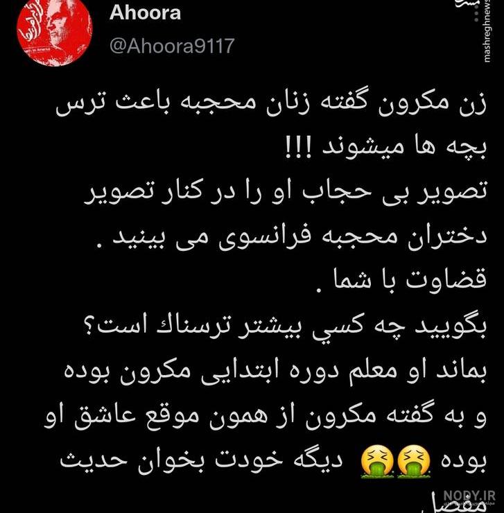 عکس میمون خوشگل و بامزه با بهترین کیفیت