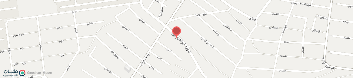 عکس پیتزا خانوادگی
