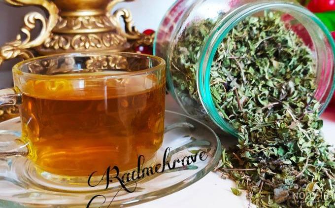 فرق آویشن کوهی با آویشن شیرازی و تفاوت های بین آویشن کوهی و شیرازی - فال و خواب فرق آویشن کوهی با آویشن شیرازی و تفاوت های بین آویشن کوهی و شیرازی - فال و خواب