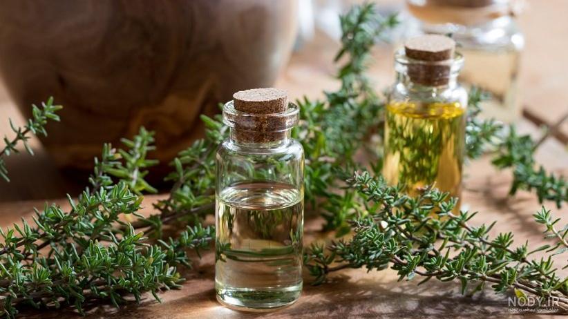 مهمترین خواص مفید آویشن برای مردان ، آویشن دارای خواص دارویی متعددی است، مهمترین خواص مفید آویشن برای مردان ، آویشن دارای خواص دارویی متعددی است،