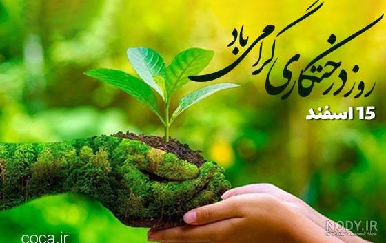 15 اسفند روز درختکاری و دوستی با طبیعت 15 اسفند روز درختکاری و دوستی با طبیعت