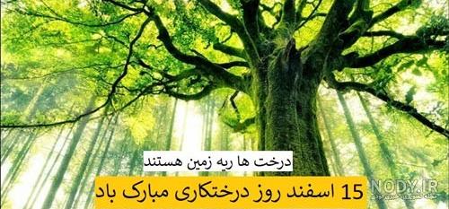 20 عکس پروفایل زیبا و تاثیرگذار ویژه روز درختکاری 20 عکس پروفایل زیبا و تاثیرگذار ویژه روز درختکاری