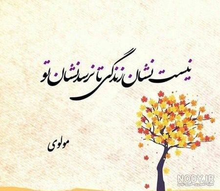 اشعار مولانا - گلچینی از ناب ترین شعرهای مولانا درباره عشق، زندگی و خداوند اشعار مولانا - گلچینی از ناب ترین شعرهای مولانا درباره عشق، زندگی و خداوند