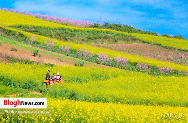 تابلو نقاشی کلاسیک در باغ بهشت