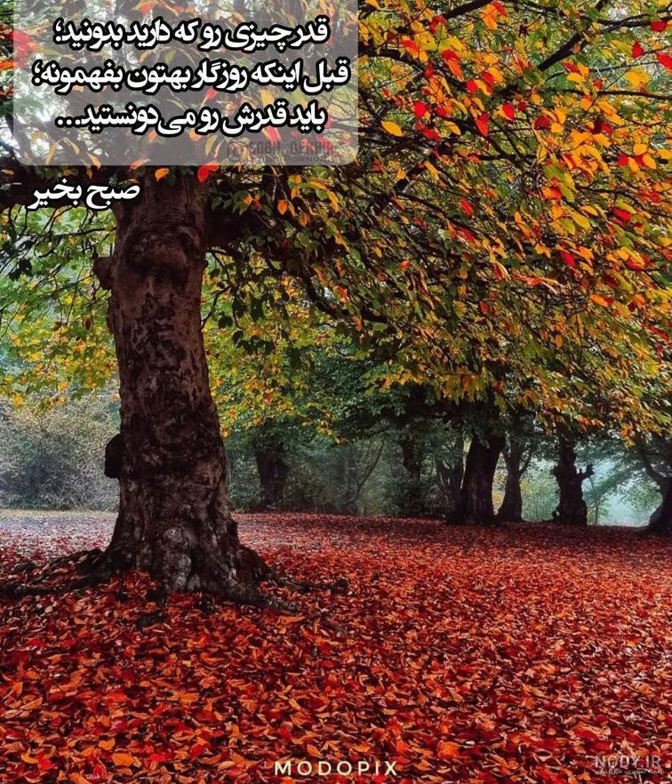 تصویر زیبا از سلام صبح بخیر