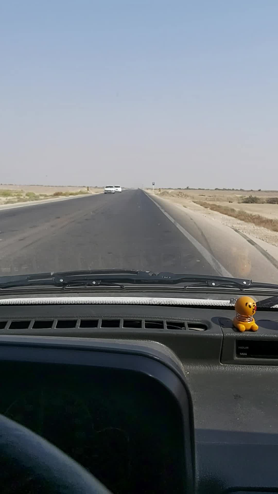 تصویری از ملخ‌ها بر روی جاده گناوه