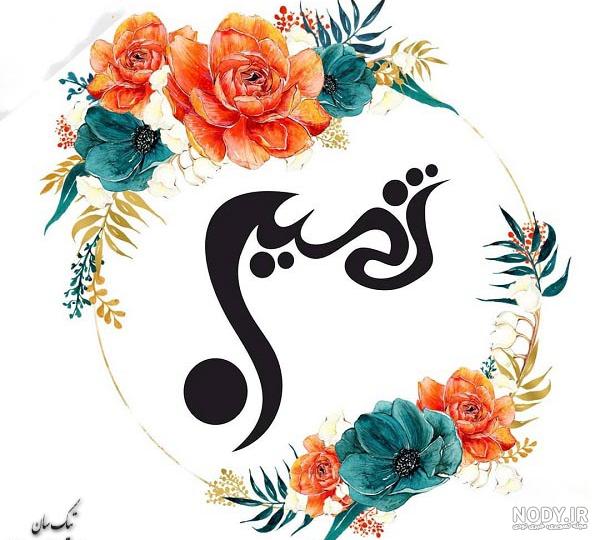 دلنوشته های ثمین