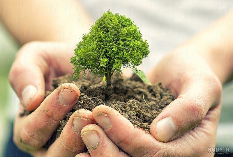 عکس روز درختکاری برای نقاشی عکس روز درختکاری برای نقاشی