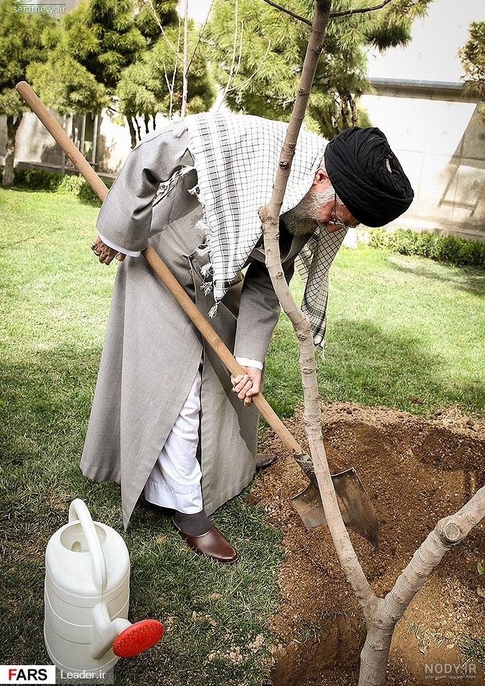 عکس روز درختکاری نقاشی عکس روز درختکاری نقاشی