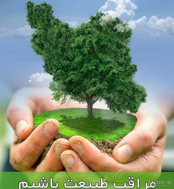 عکس روز درختکاری کودکان عکس روز درختکاری کودکان