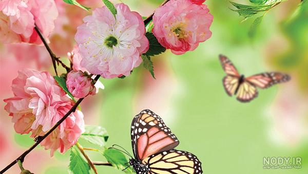 عکس طبیعت زیبای بهاری