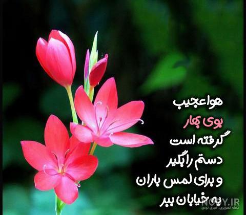 عکس نوشته شکوفه بهاری