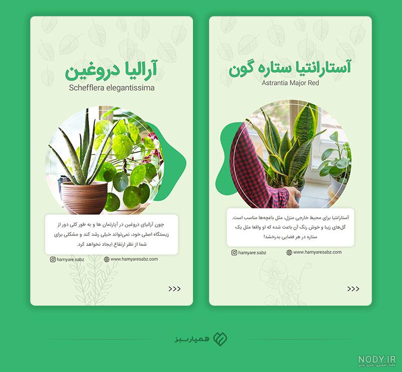 عکس پروفایل اینستاگرام گل عکس پروفایل اینستاگرام گل