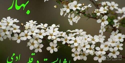 عکس پروفایل بهار با عکس نوشته و متن های زیبا