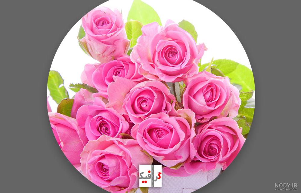 عکس گل سیاه سفید خاص برای پروفایل تلگرام و اینستاگرام عکس گل سیاه سفید خاص برای پروفایل تلگرام و اینستاگرام