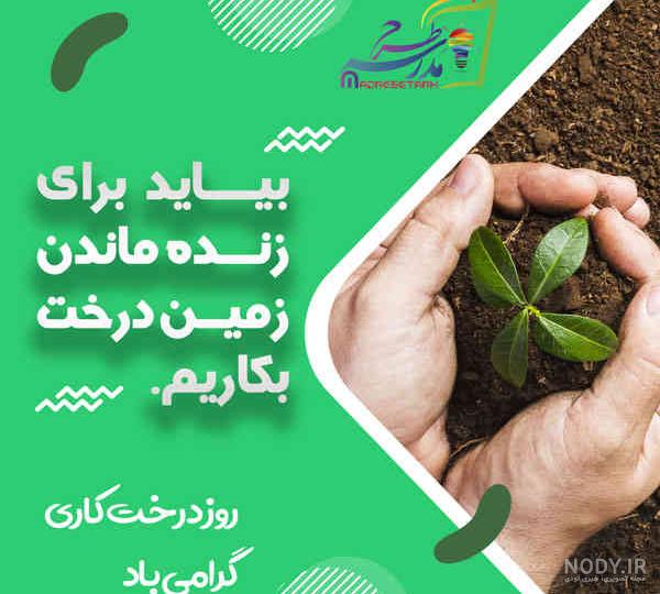 پوستر روز درختکاری پوستر روز درختکاری
