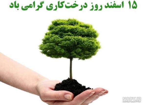 پوستر و قالب آماده روز درختکاری لایه باز - لایه باز طرح آماده psd - eps پوستر و قالب آماده روز درختکاری لایه باز - لایه باز طرح آماده psd - eps