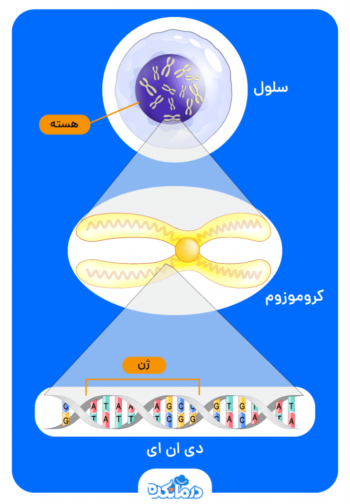 آموزش تصویری جدا کردن عکس از پس زمینه در فتوشاپ - دانشجویار آموزش تصویری جدا کردن عکس از پس زمینه در فتوشاپ - دانشجویار