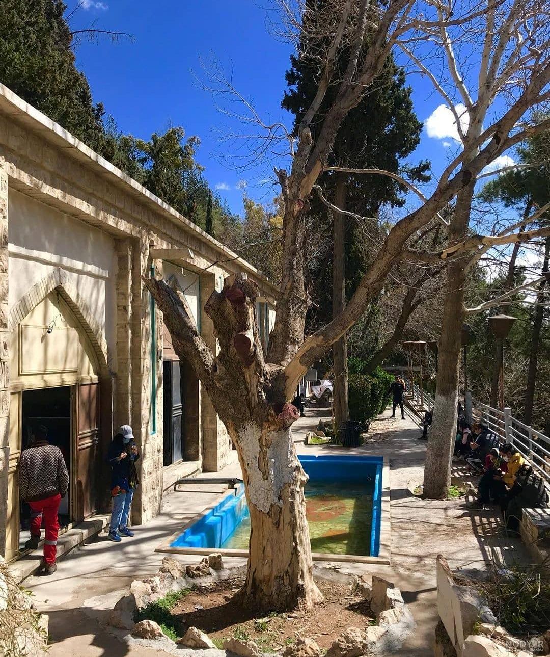 دانلود آهنگ بابا کوهی از درویش مصطفی جاویدان (دلم از دنیا گرفته بابا کوهی)
