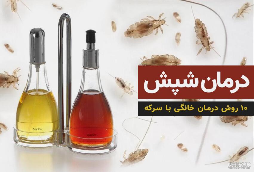 درمان شپش موی سر درمان شپش موی سر
