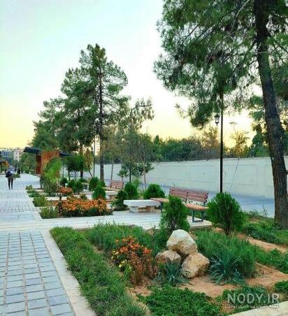 عکس بابا کوهی شیراز