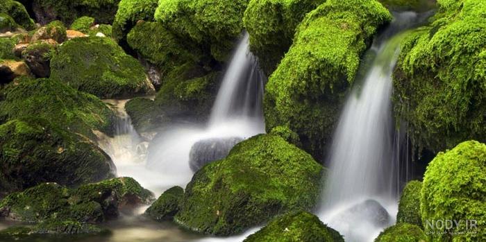 عکس بهشت زیبای خداوند توسط هوش مصنوعی - بهشت چه شکلی است؟