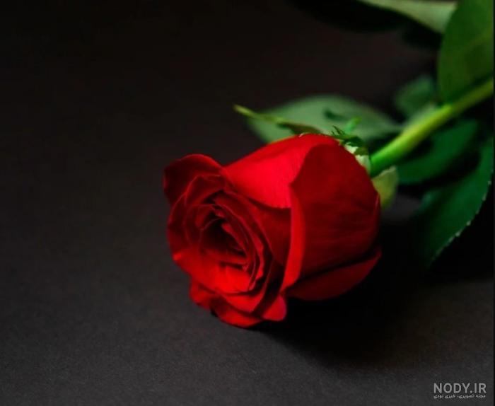 عکس رژ لب قرمز مخملی