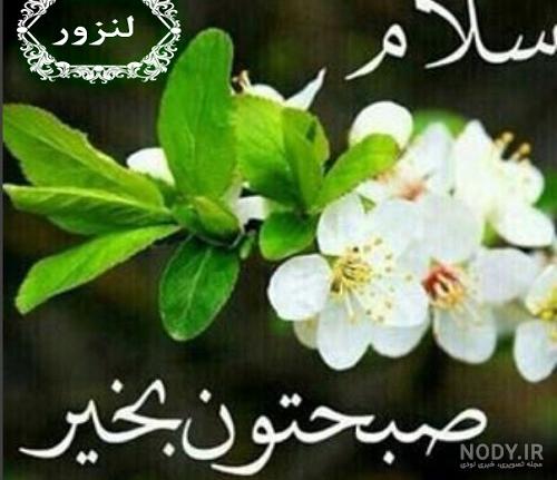 عکس سلام صبح بخیر سه شنبه عکس سلام صبح بخیر سه شنبه