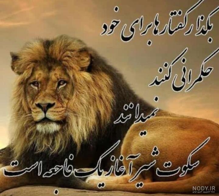 عکس شیر سلطان جنگل