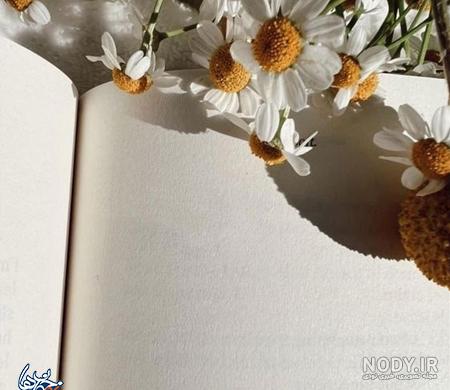 عکس صفحه خالی مشکی عکس صفحه خالی مشکی