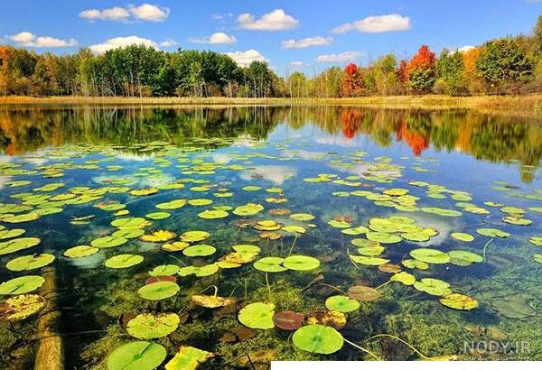 عکس هایی زیبا از هنرنمایی خداوند در آفرینش طبیعت | طرفداری