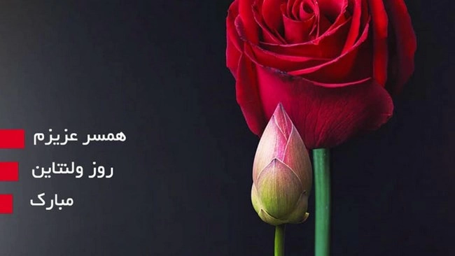 عکس ولنتاین لاکچری برای همسر عکس ولنتاین لاکچری برای همسر