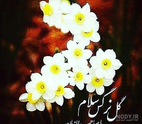 عکس پروفایل نیمه شعبان عکس پروفایل نیمه شعبان